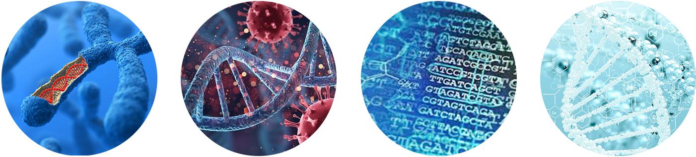 Visualization of various genes and DNA strands, representing genetic research conducted by doctors and staff in Doral, Florida.